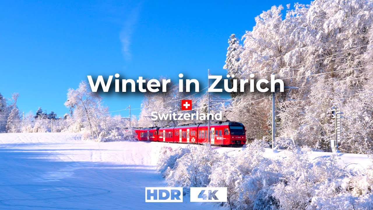 Winter Wonderland On Top Of Zurich, Switzerland🇨🇭❄️ Uetliberg Hill in 4K HDR