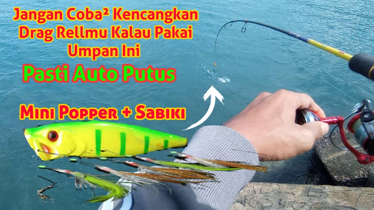 Mancing Dengan Umpan Mini Popper + Sabiki || Cara Mancing Anti Boncos di Pelabuhan.!!!