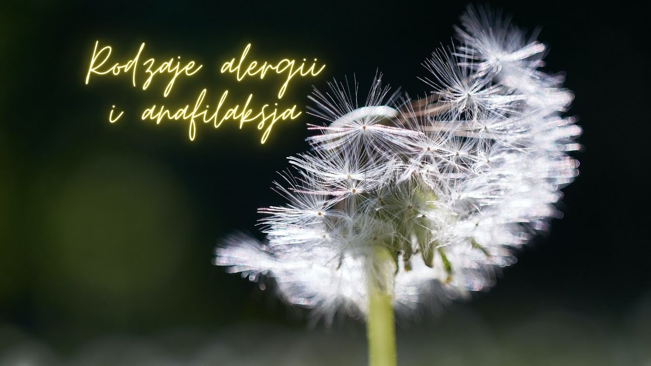 Rodzaje alergii i anafilaksja