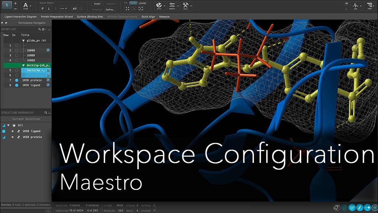 Maestro - Workspace Configuration