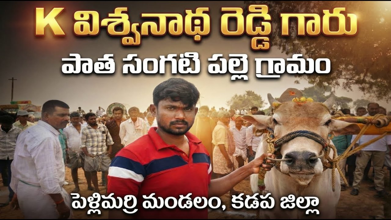 🚩2/3/2026 మాచిరెడ్డిపల్లె సేద్యపు విభాగం 21జత K విశ్వనాథ రెడ్డి గారు పాత సంగతిపల్లె