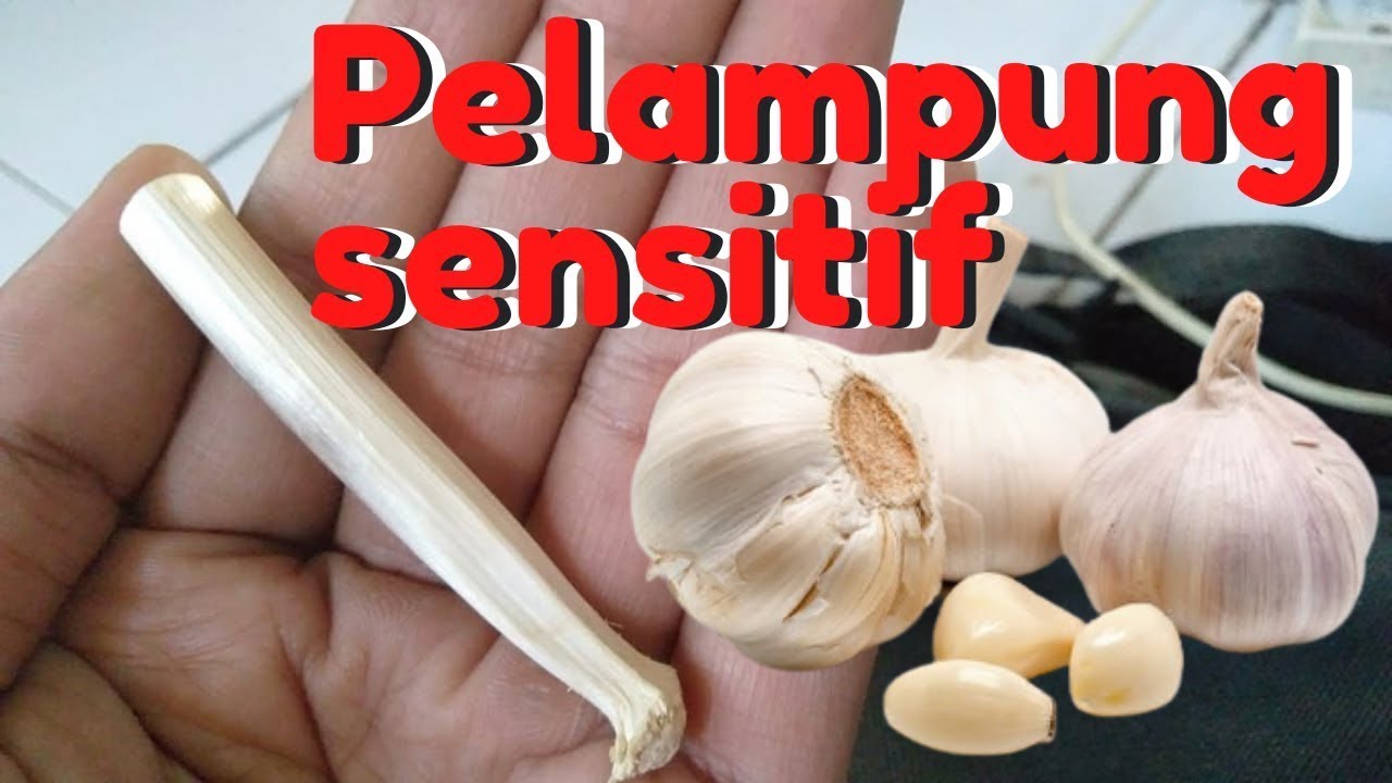 how to make a float from onions || very sensitive