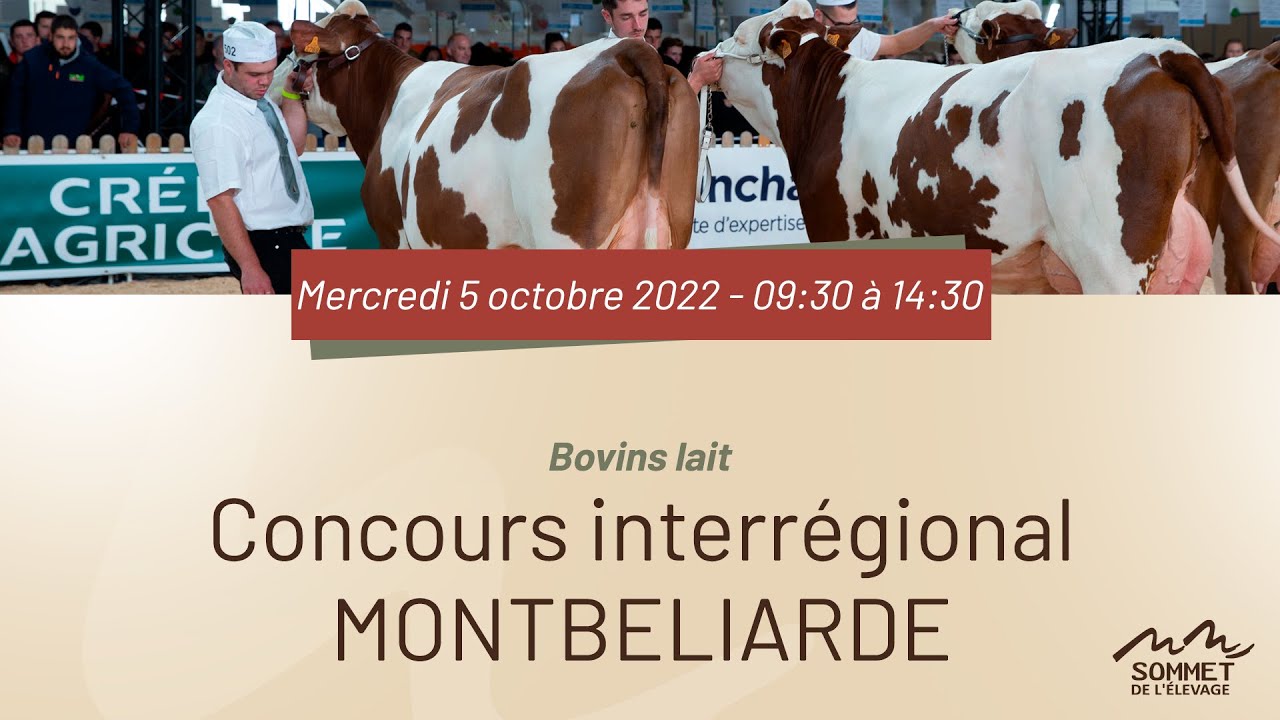 Sommet de l'élevage 2022 - Concours interrégional MONTBELIARDE - 05/10/2022