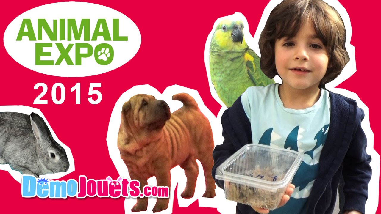 (VLOG) Animal Expo Chat Chien Poisson reptile 2015 - D&eacute;mo Jouets