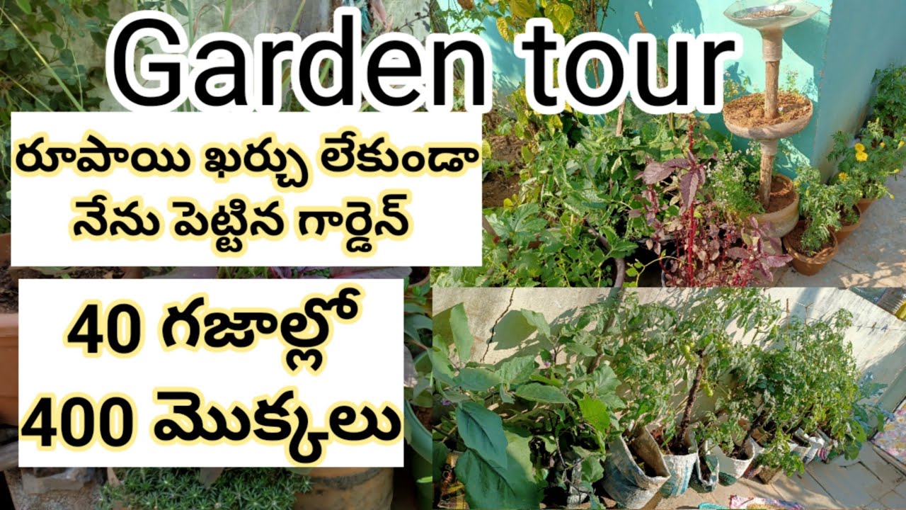 Garden Toor 2020 | Garden Ideas in Telugu 2020 | My Garden Toor