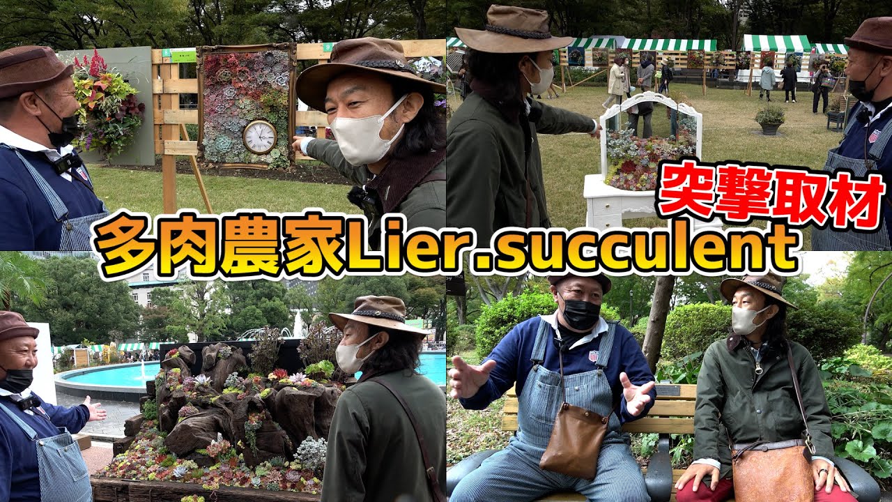 日比谷公園でイベント中のリエールに突撃したら多肉を広めたい想いが強すぎた！！！！！【花友フェスタ】【カーメン君】【多肉農家Lier.succulent】