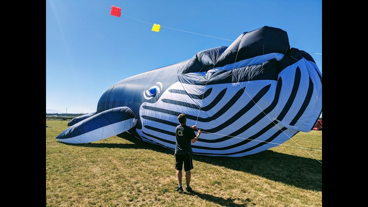 30 Mt Whale Deflate and Pack