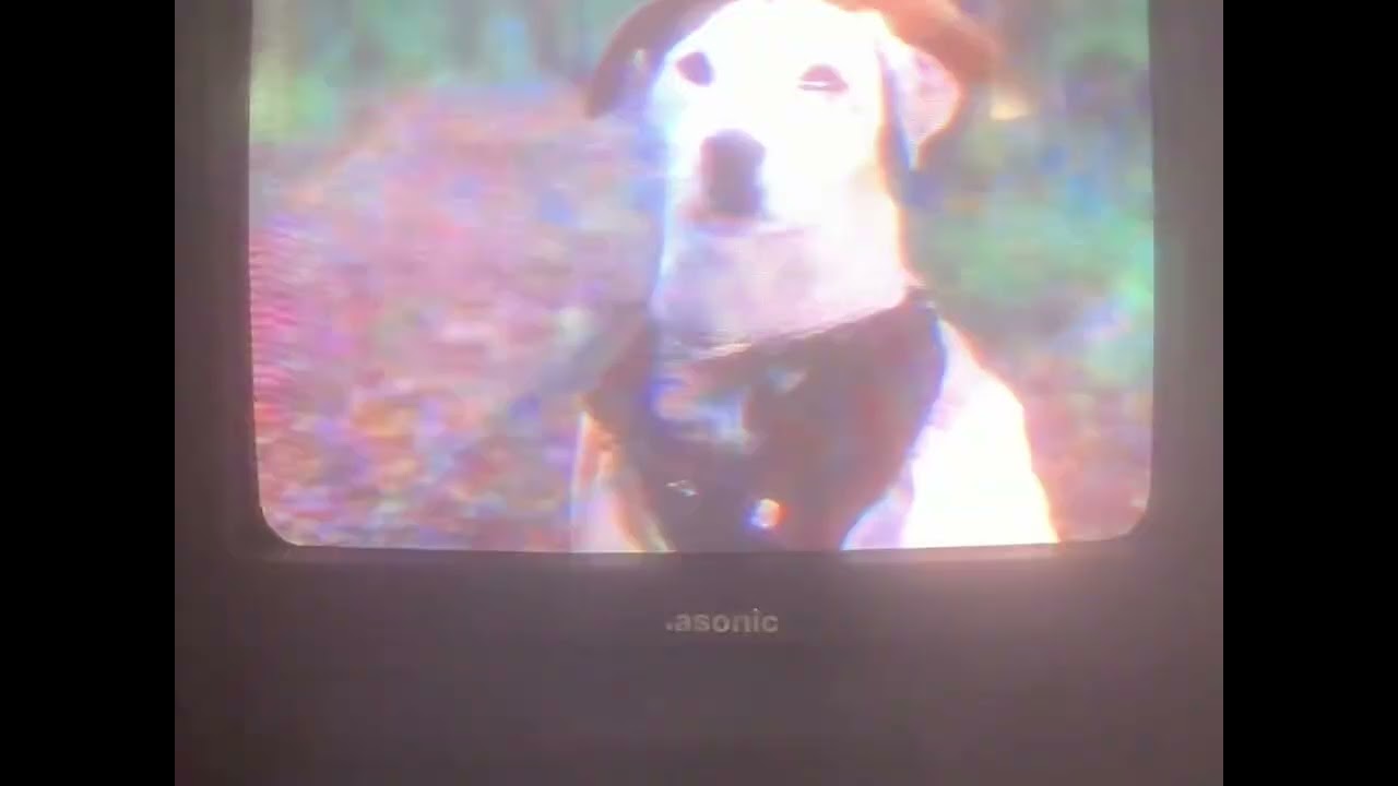 Salty Dog VHS 1996 Sped Up