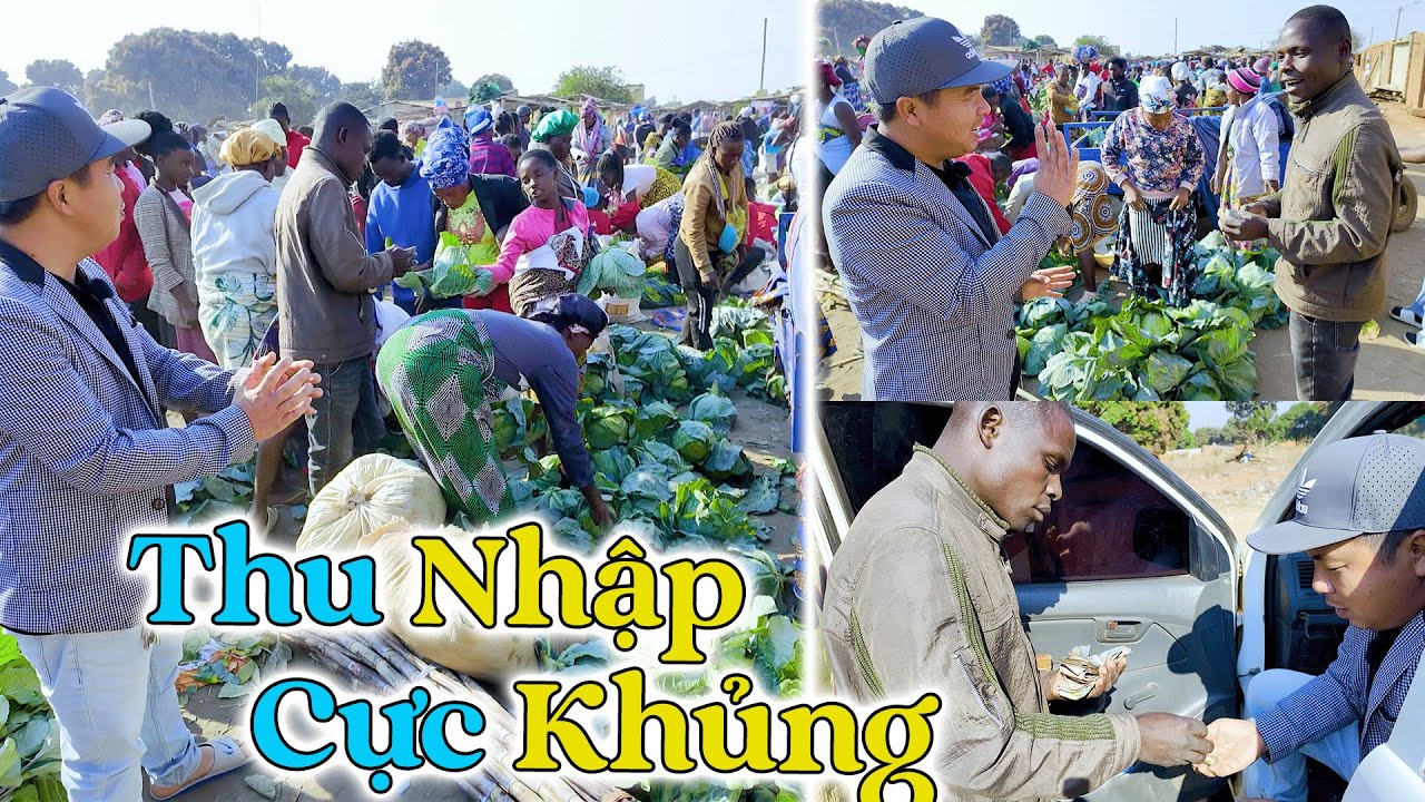 Đông Paulo || Bán Được Giá Vậy Sao? Thu Nhập Cực Khủng Từ Vườn Bắp Cải Khi Mang Ra Chợ Huyện!