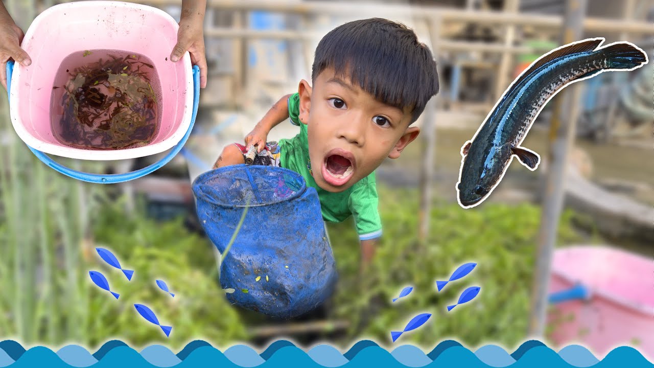 จับแม่ปลาช่อน ลูกครอกในร่องน้ำ | พี่ปลื้ม