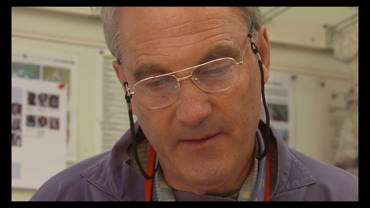 Insight into Sandwich Bay Bird Observatory Trust
