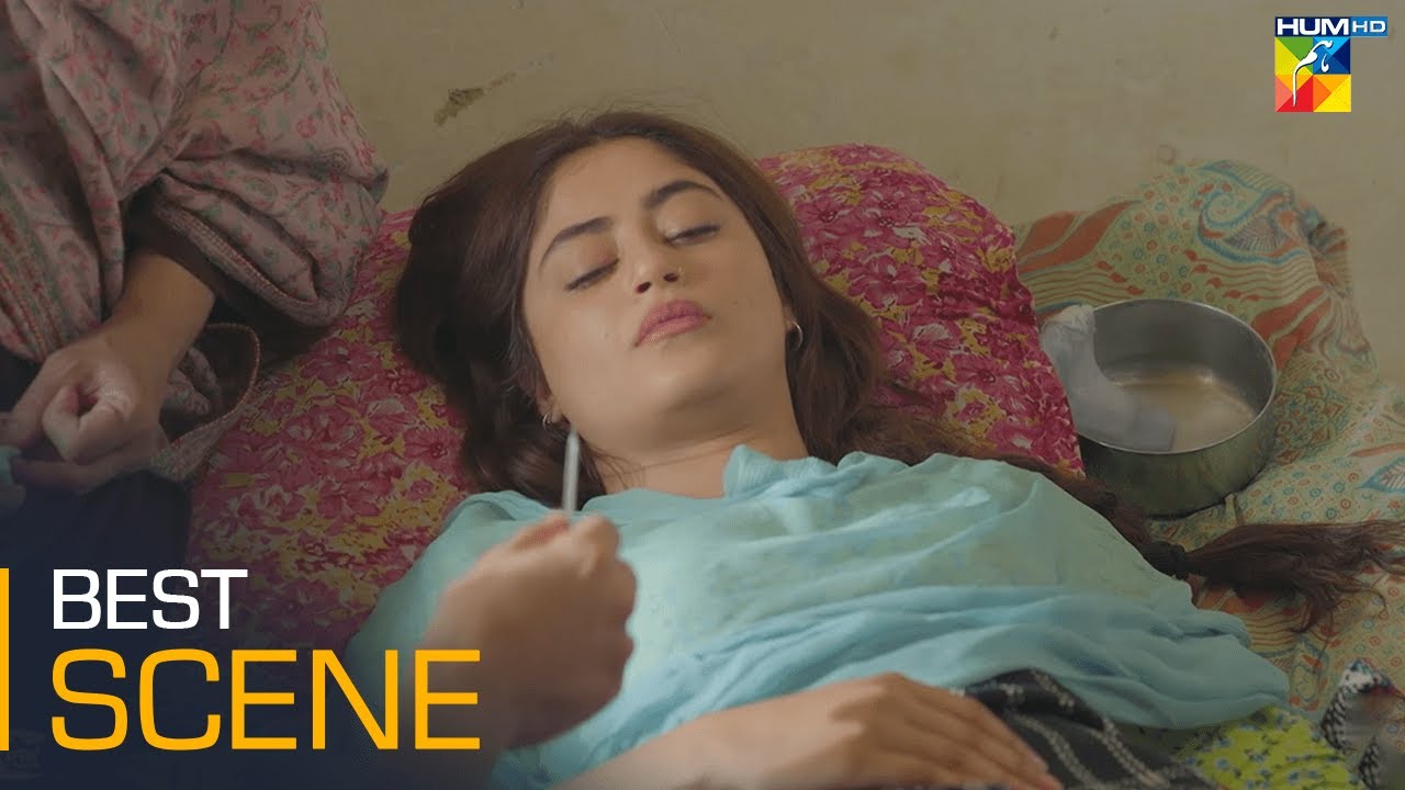 Zard Patton Ka Bunn - Episode 12 - Best Scene 02 - [ Sajal Ali & Hamza Sohail ] - HUM TV