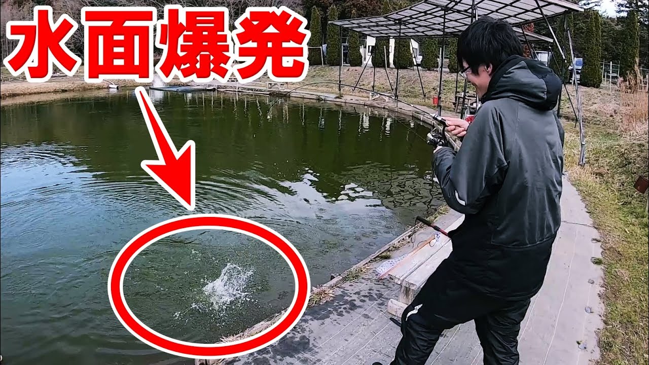 管釣りで暴れ狂うトラウトを釣り上げろ【フィッシングDODOO】