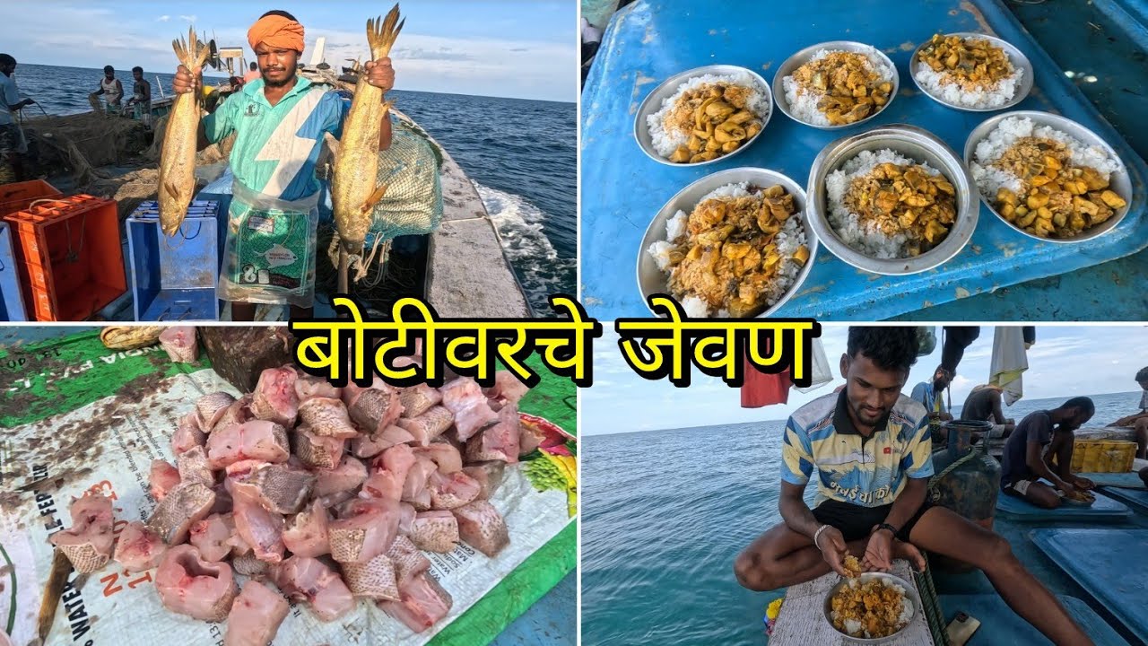 बोटिमध्ये बनवले कोत माश्याचे जेवण. Cooking on fishing boat. India seafood