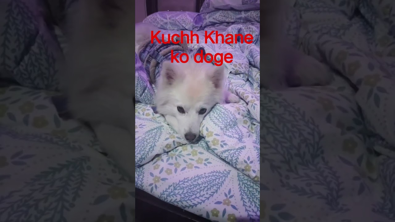 Bethane se Hasma theek rehta hai#funny #comedy #viralvideo#youtubeshorts#likeandsubscribe