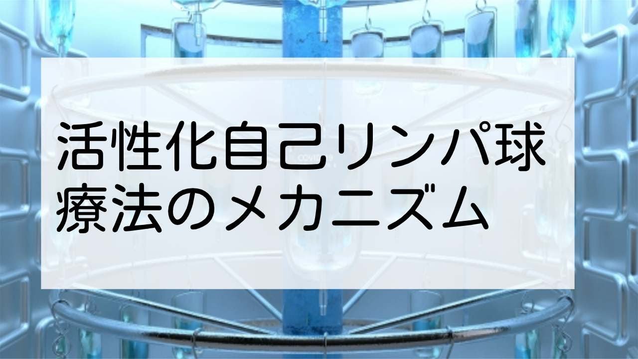 活性化自己リンパ球療法のメカニズムについて【木村病院の自由診療】