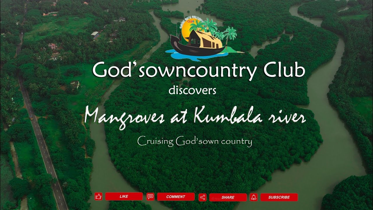 KUMBLA & MANGROVES -KASARGOD - KERALA ആമസോൺ കാടുകളെ വെല്ലുന്ന കണ്ടൽ കാടുകളുടെ മനോഹാരിതയുമായി കുമ്പള