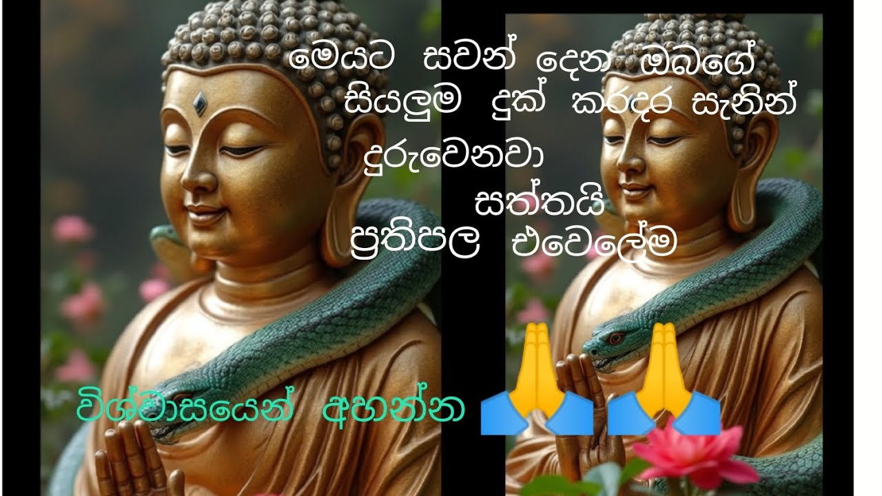 මෙයට සවන් දෙන ඔබ සියලු දෙනාගේ දුක් කරදර දුරු වේවා🙏🙏
