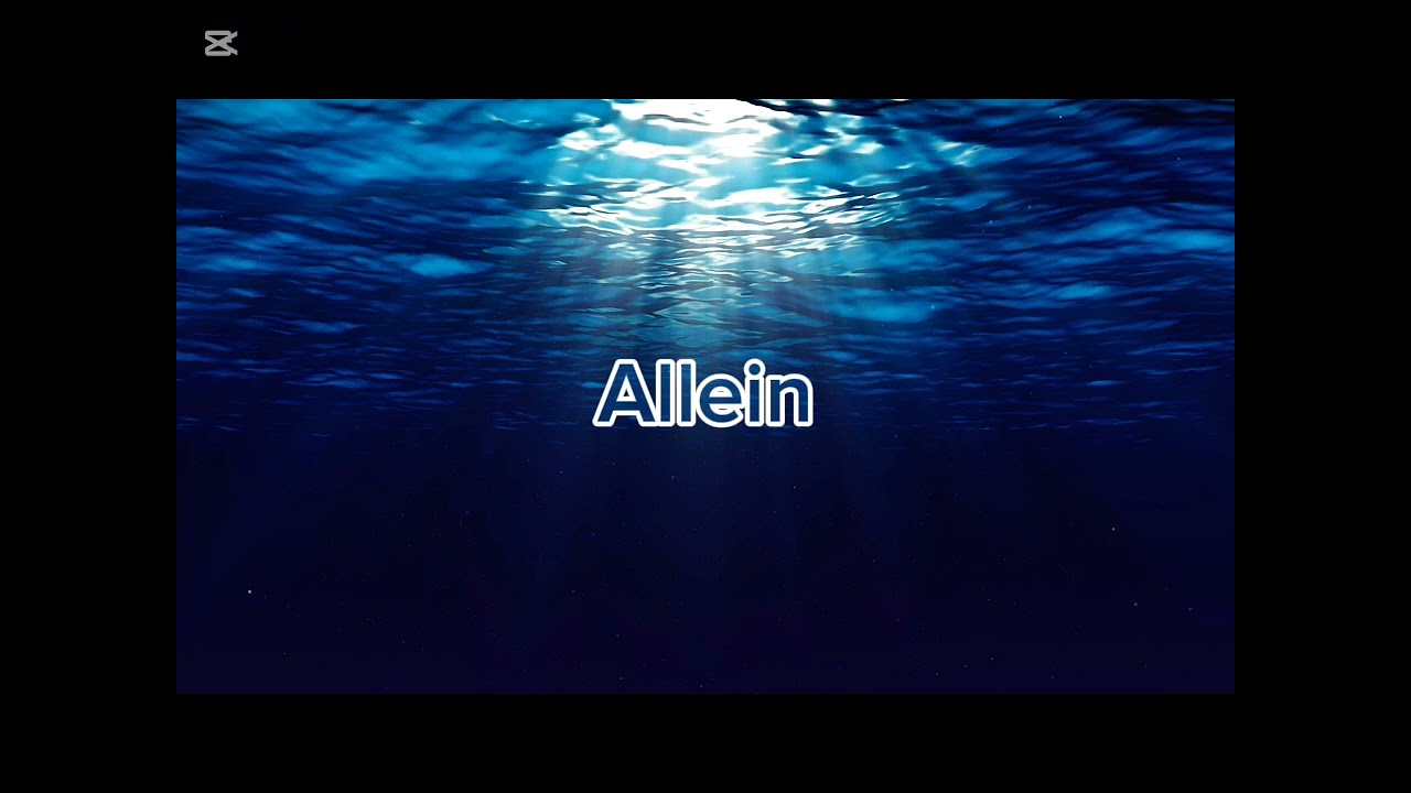 Allein(fead. Delarue & chico44) instrumental