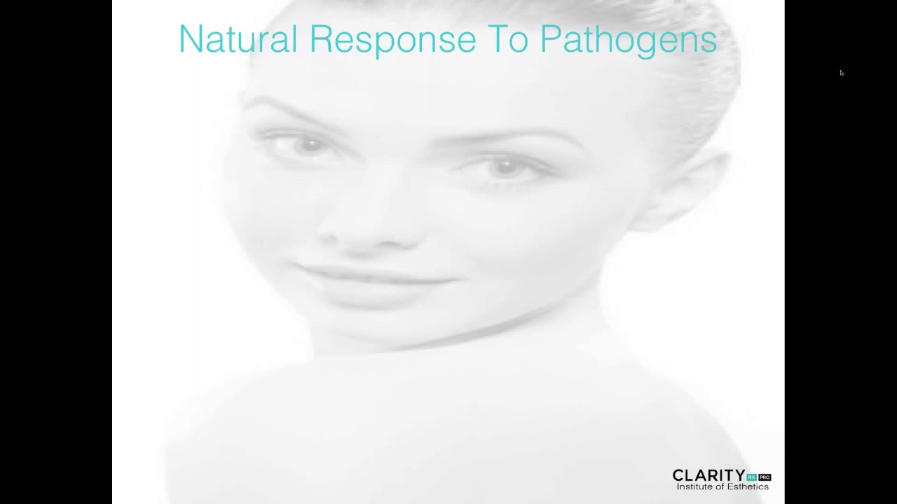 Inflammation + The Effects on Premature Aging of the Skin