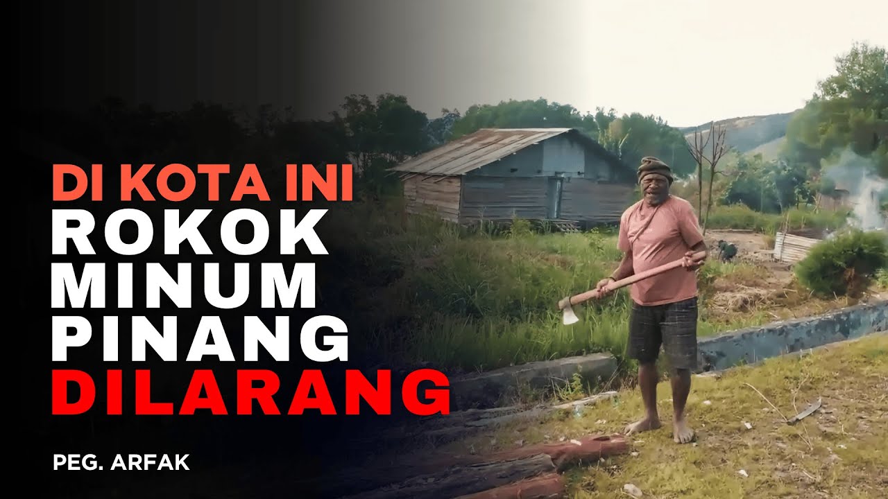 KOTA TERAMAN DI PAPUA I Pegunungan Arfak.