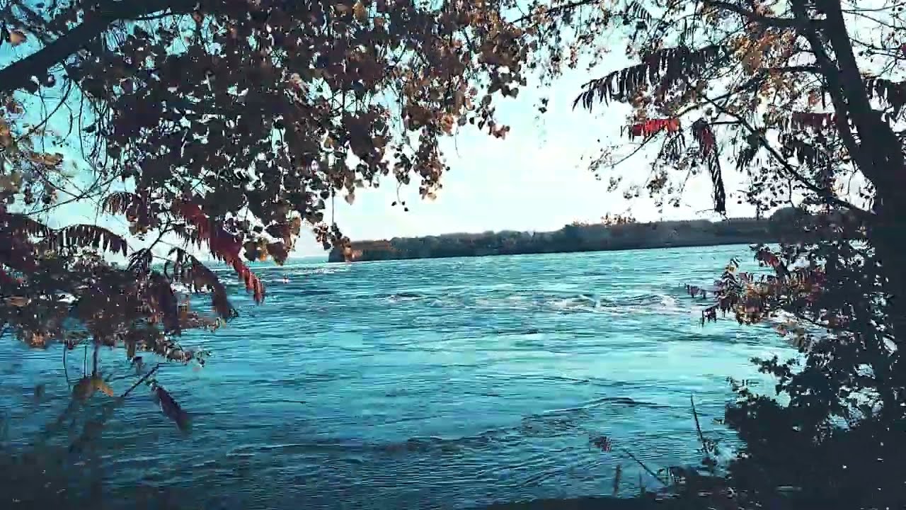 Parc-Des-Rapides / Rapids Park