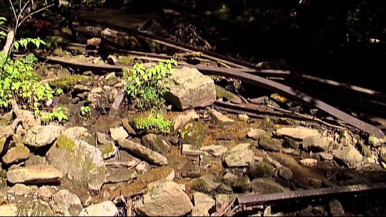 Appalachian Railroad