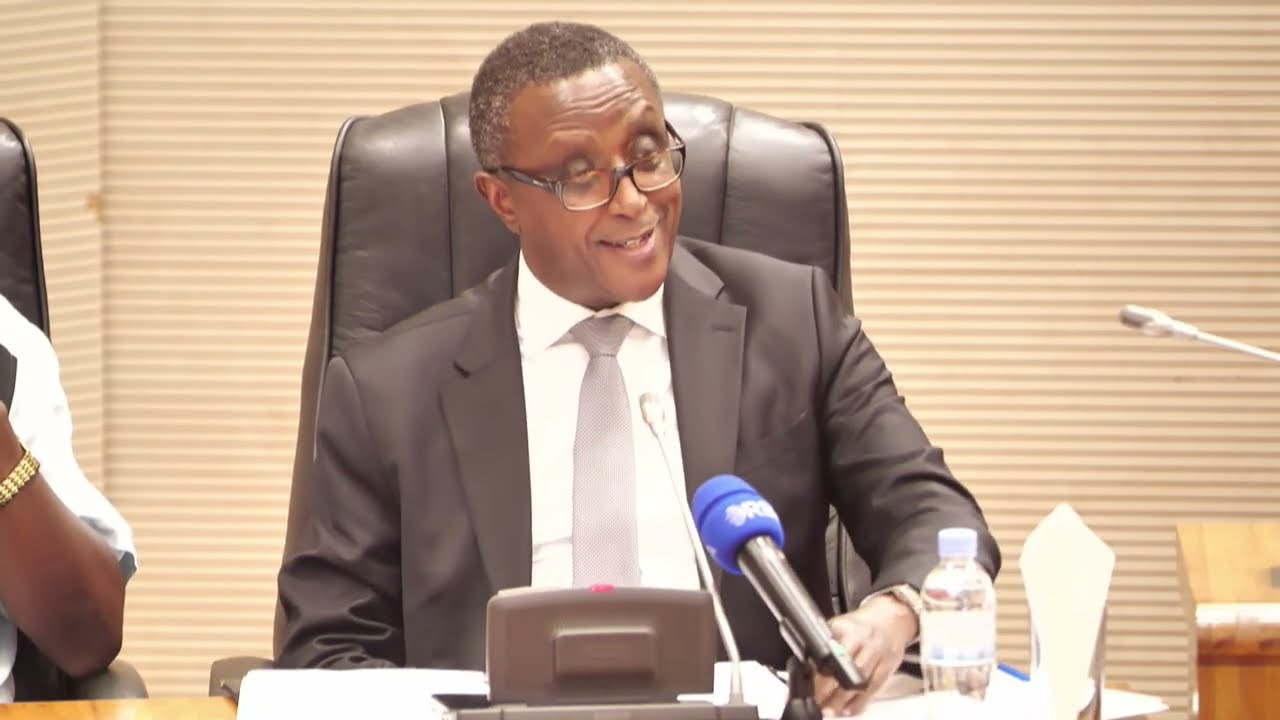 IKIGANIRO CYOSE: Dr Biruta yagejeje ku Badepite imiterere y'umubano w'u Rwanda n'ibihugu by'Akarere