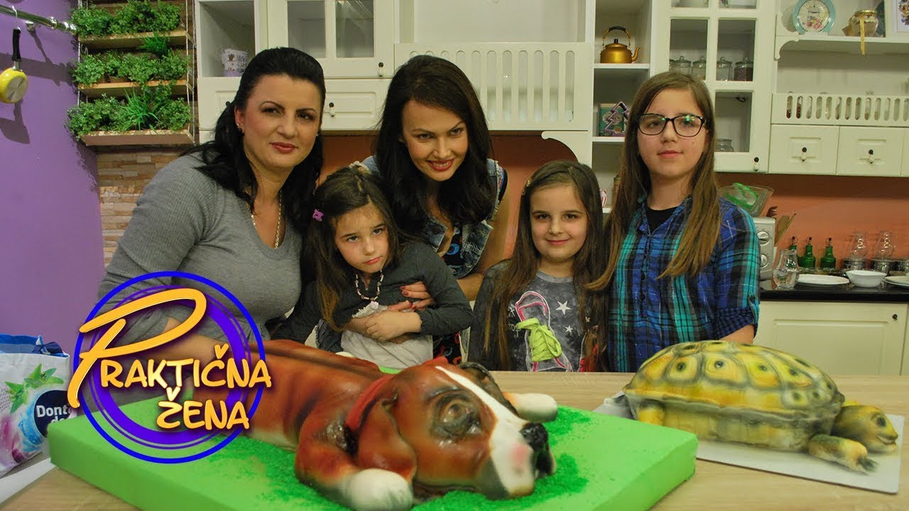 Praktična žena - Čoko moko torta u obliku životinja