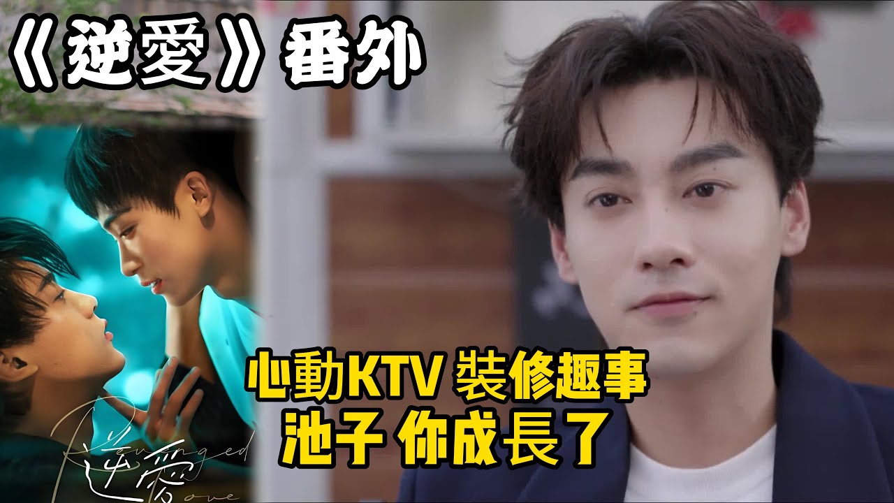 《逆愛》番外！：（59）心動KTV，池子，你成長了，裝修趣事。#田栩宁 #梓渝 #吴所畏 #池骋 #逆爱 #revenged