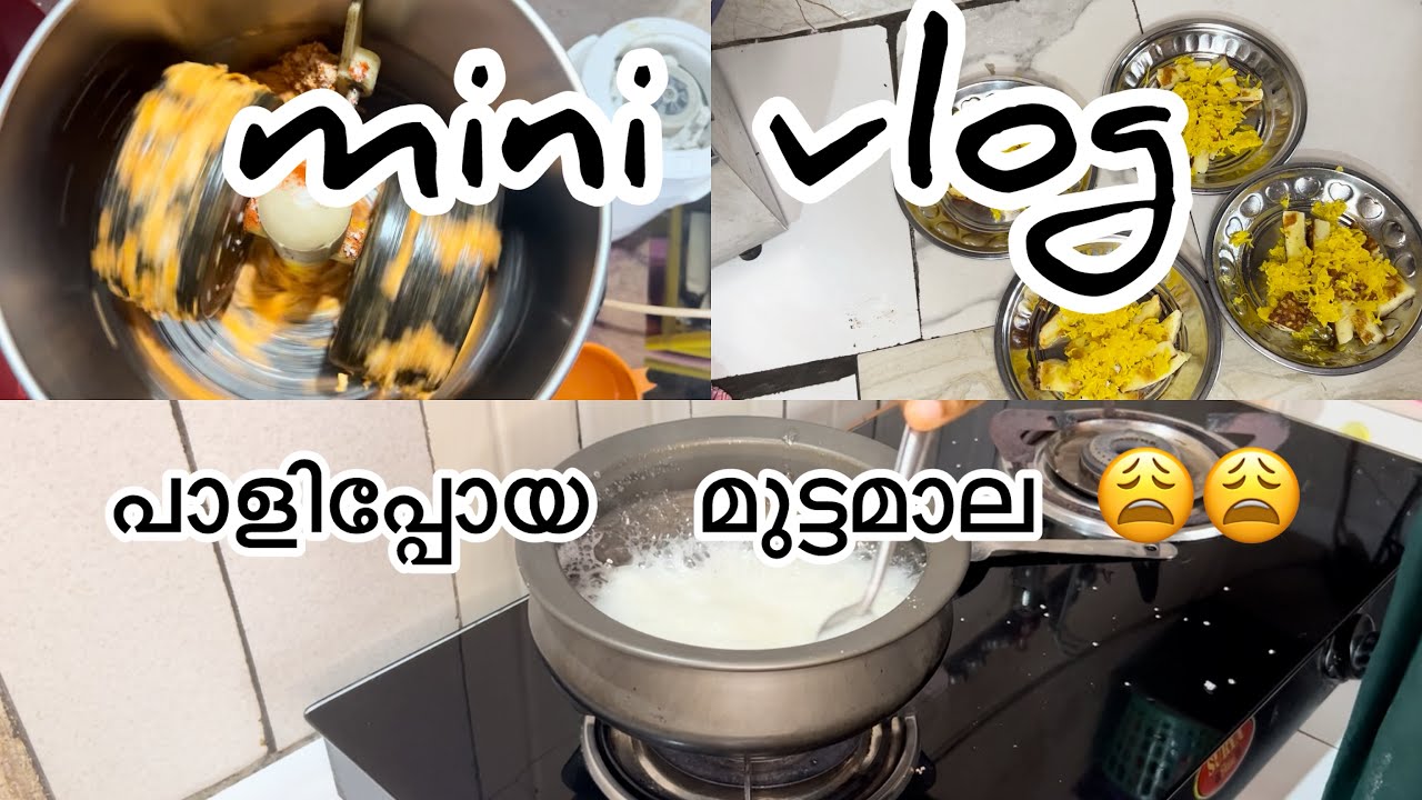 Mini vlog with പാളിപ്പോയ മുട്ടമാല | It‘s me Hasi| a half day in my life