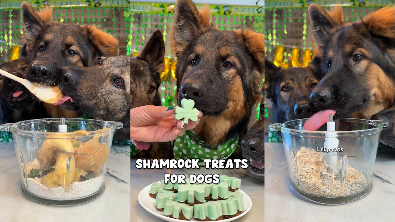 Shamrock Treats For Dogs Recipe
