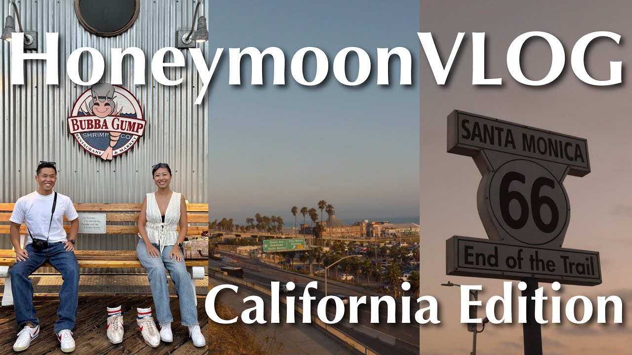 【新婚旅行VLOG#6】カリフォルニア中を走り抜ける🇺🇸🌴