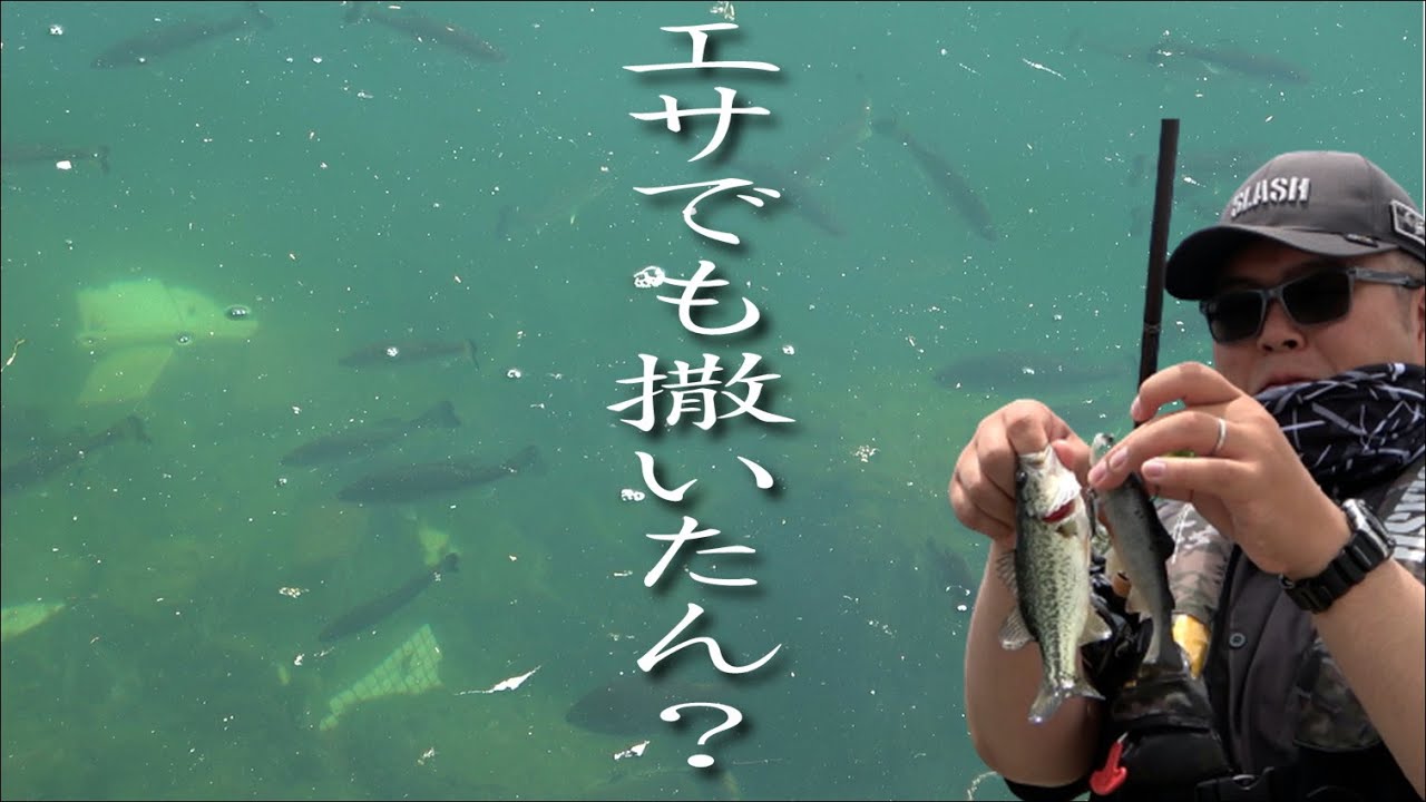 【春バス】大潮は難しい！？あなたの最終兵器は何ですか？