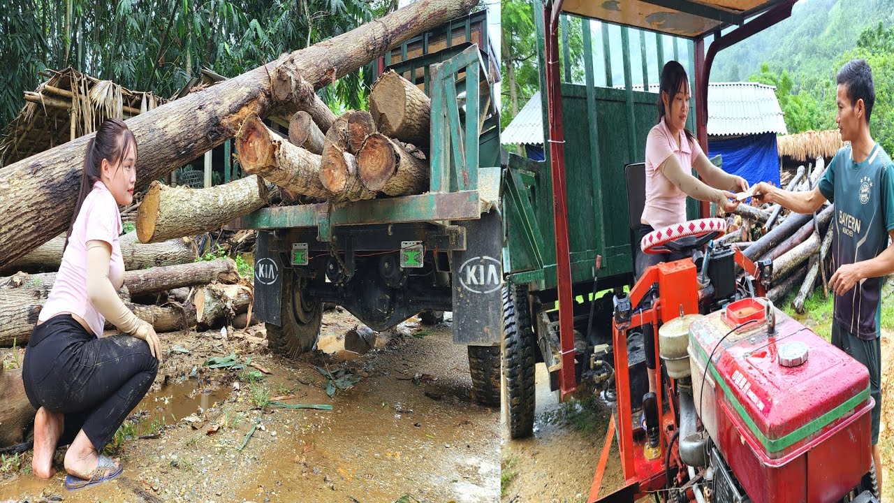 Agricultural vehicles transport timber, selecting small logs for sale