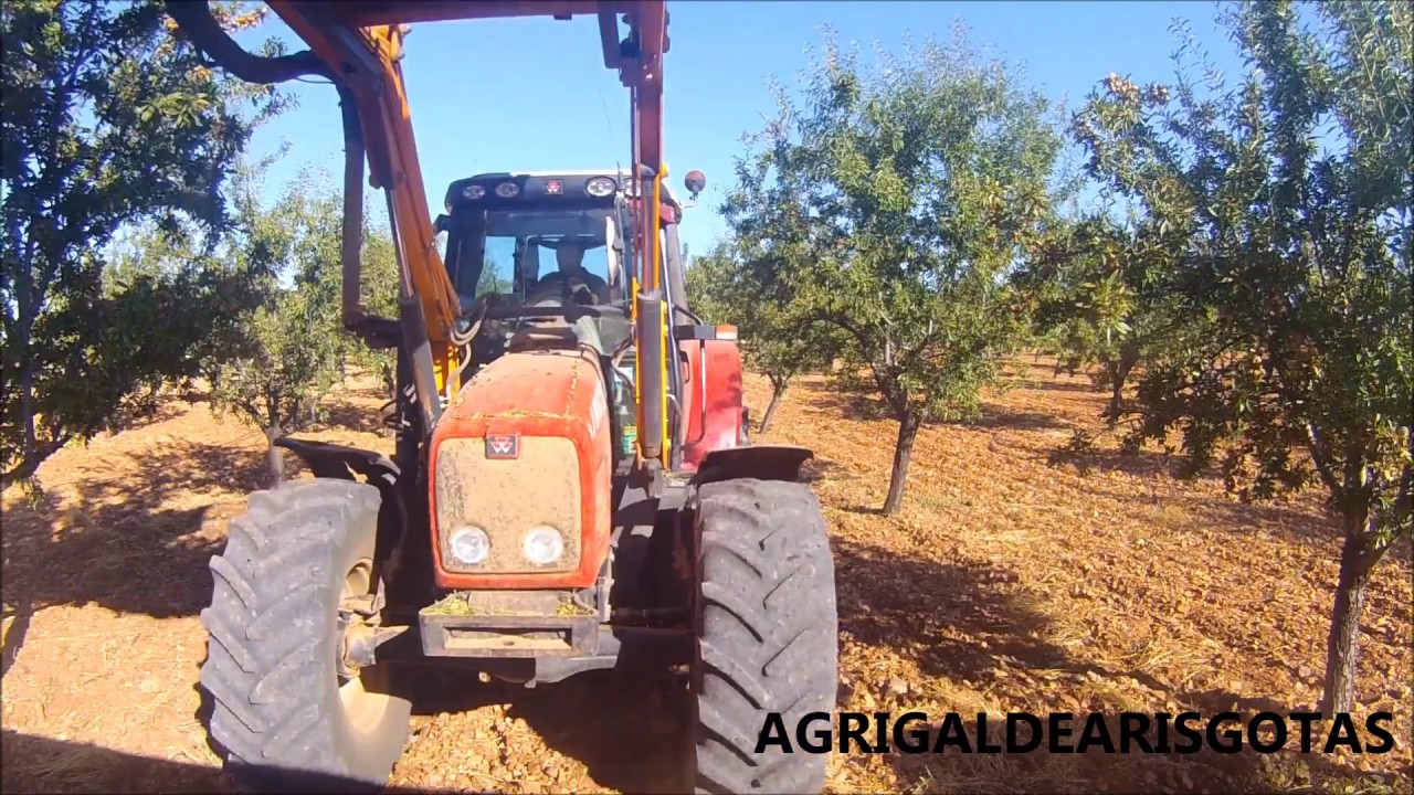 Campaña de almendras 2016// John Deere 6320 & Massey Ferguson