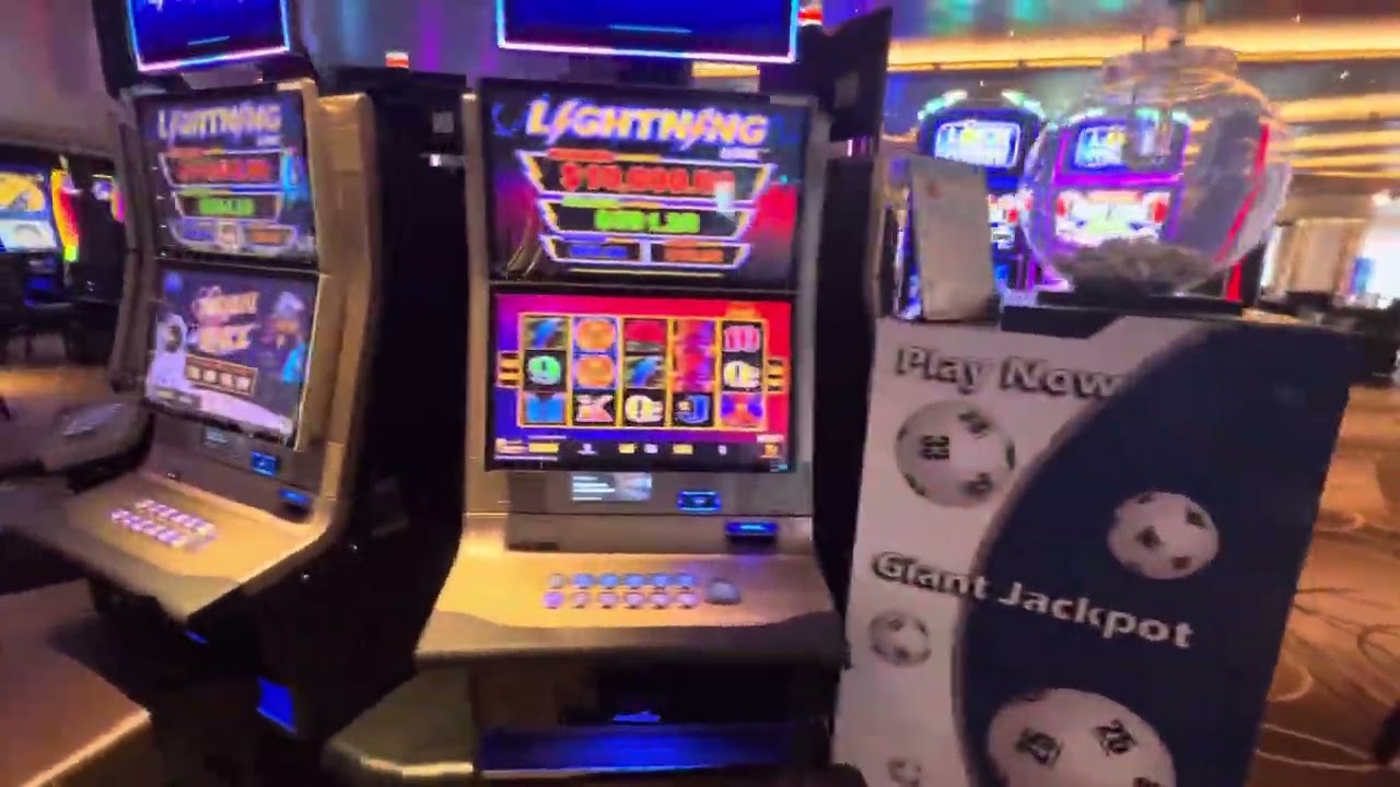 Holland America Rotterdam  Casino tour 6/2025