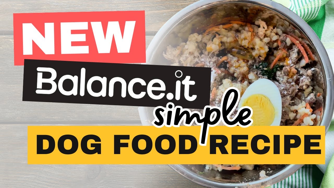 SIMPLE Homemade Dog Food Recipe Creator