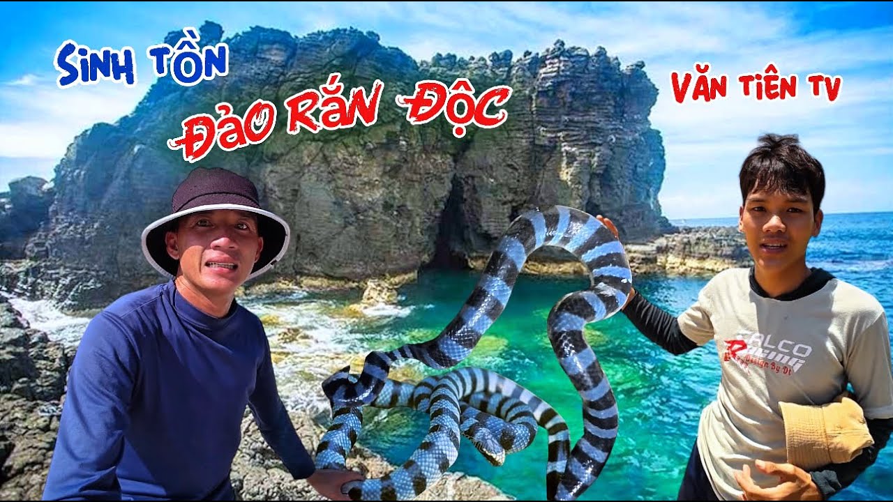 Chạm mặt với loài rắn biển cực độc khi sinh tồn trên đảo hoang | survival on snake island