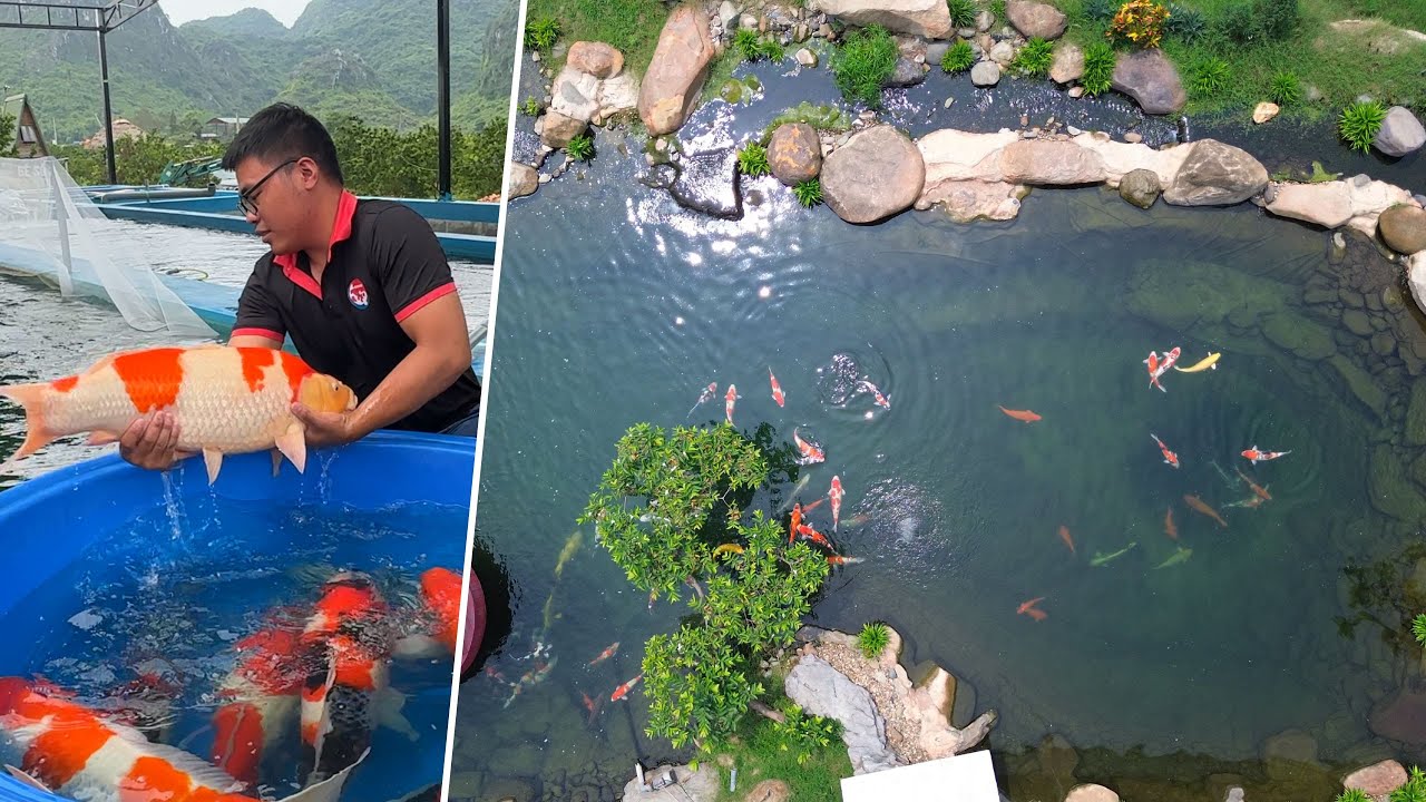 HIDDEN BIG JUMBO KOI POND DEEP in the MOUNTAIN