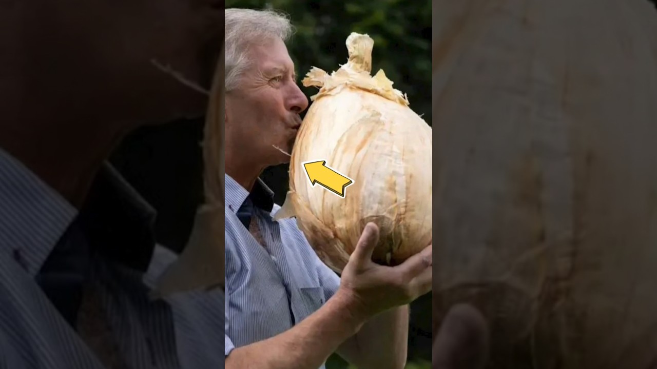 English gardener reveals nearly 20-pound onion at giant vegetable competition #shorts