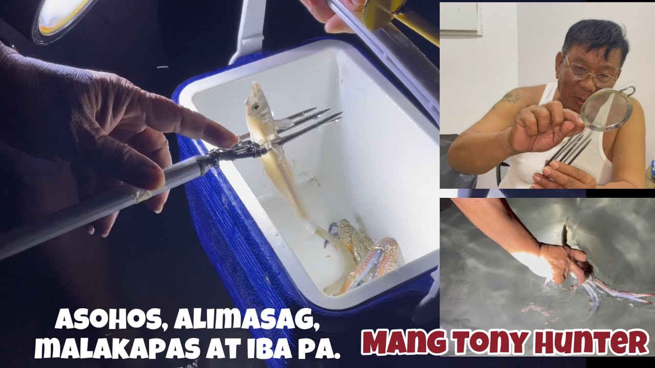 Asohos, Alimasag, Malakapas at Iba pa..