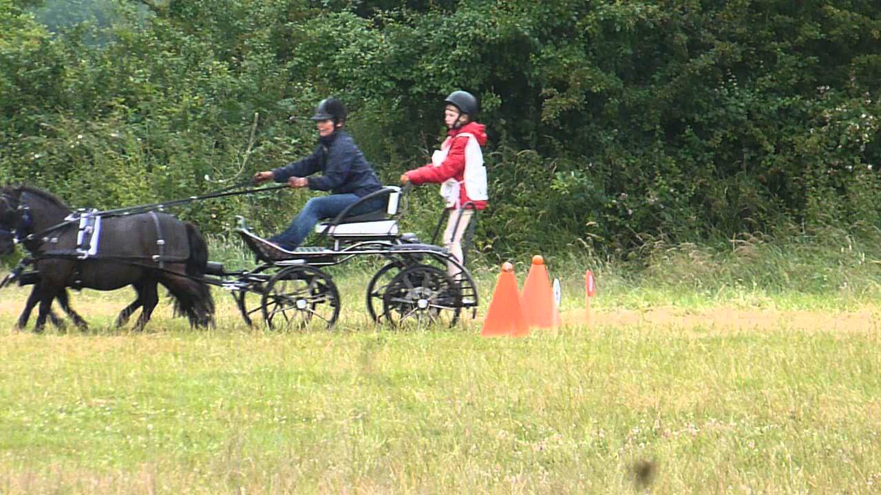 Alfie & Wally @ Prestwood June 2014