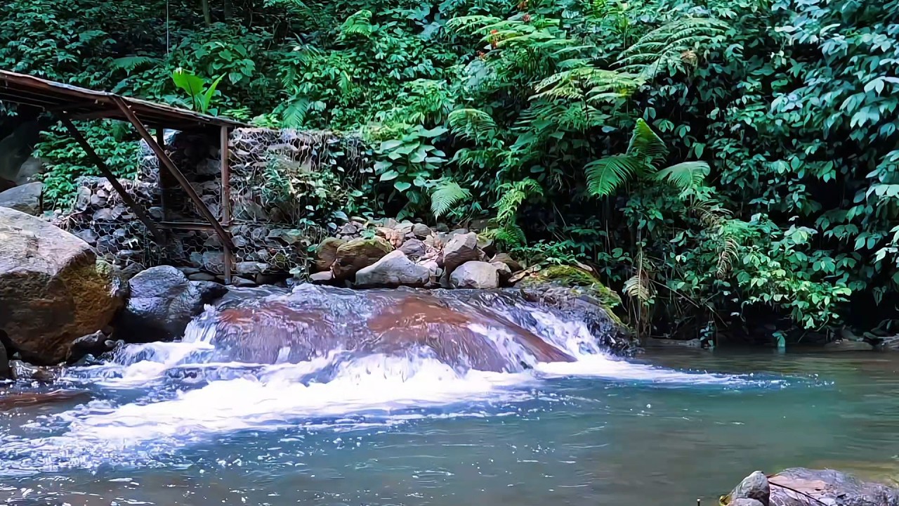 Calm River Sounds for Deep Sleep Aid