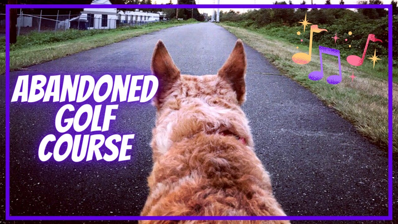 Exploring an Overgrown Abandoned Golf Course ~ POV Virtual Dog Walk
