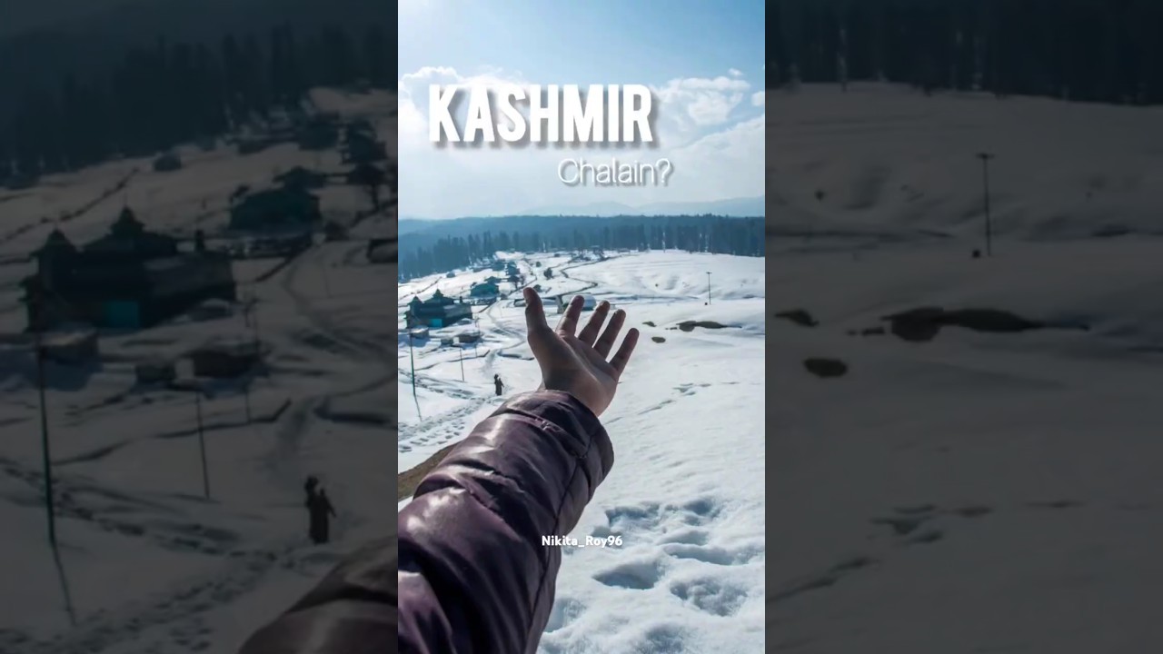Kashmir Diaries Shorts.  ✨♈