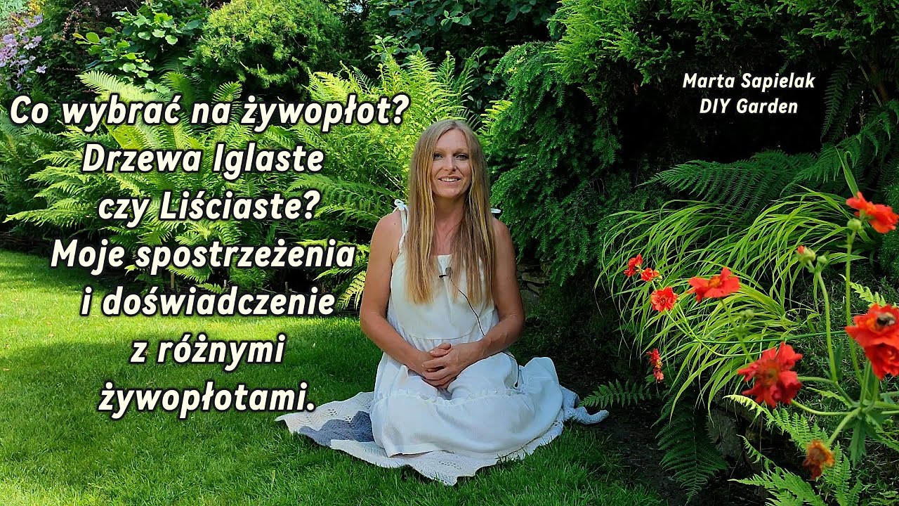 Jaki żywopłot wybrac do ogrodu