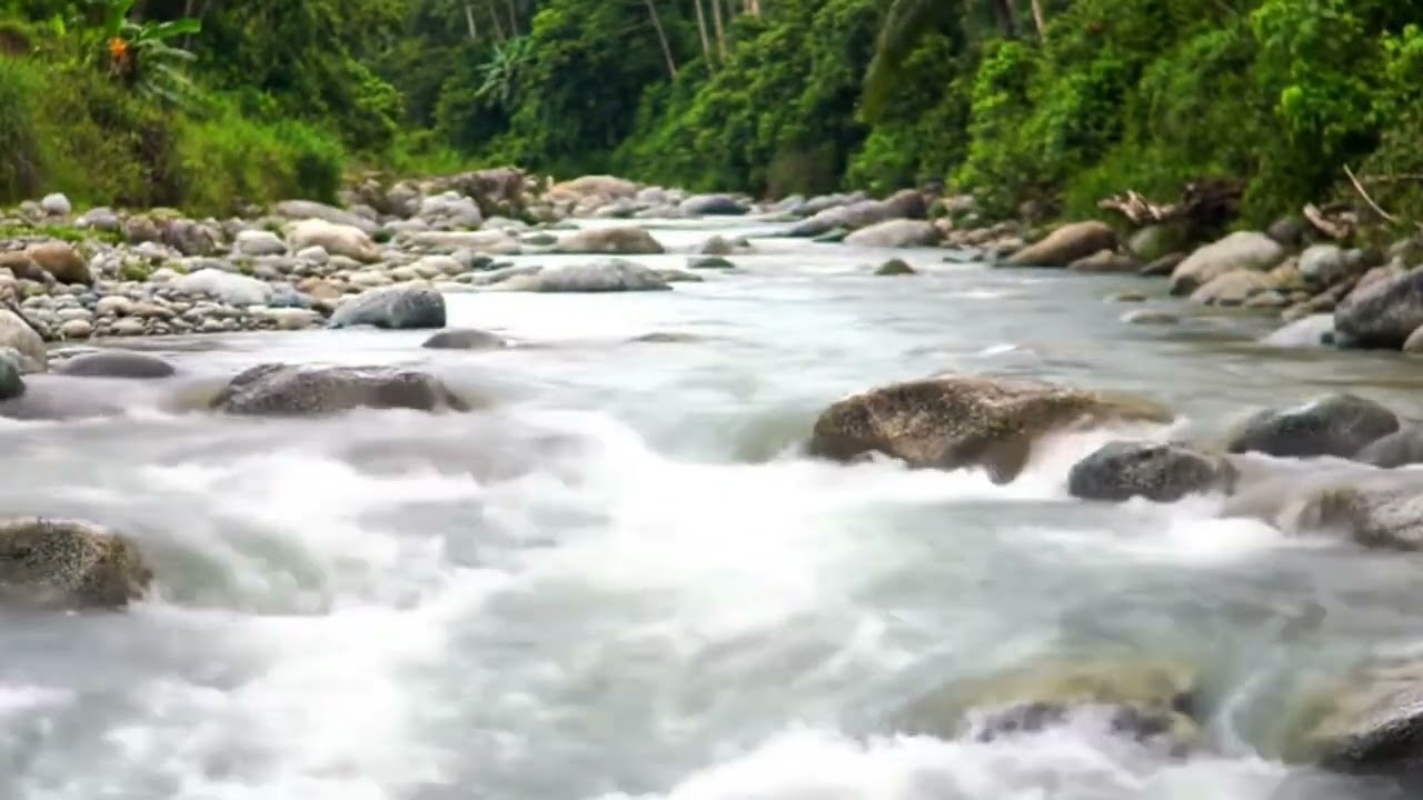 ASMR | calm atmosphere of a flowing river with rocks