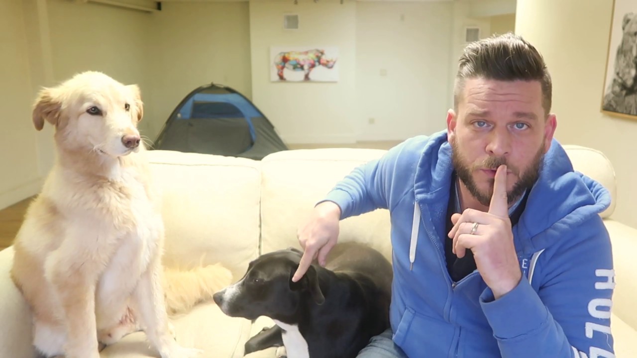 Rescue Dog Review