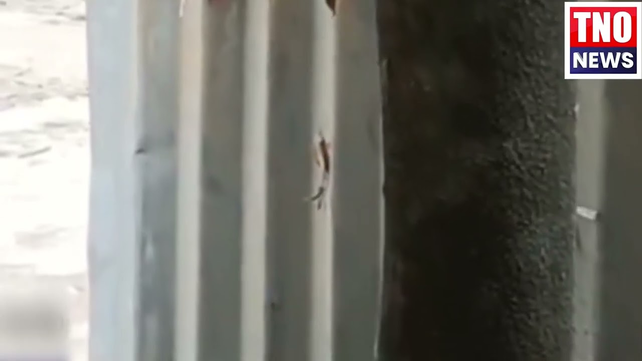 Попытка убийства в общественном месте!!!! 
